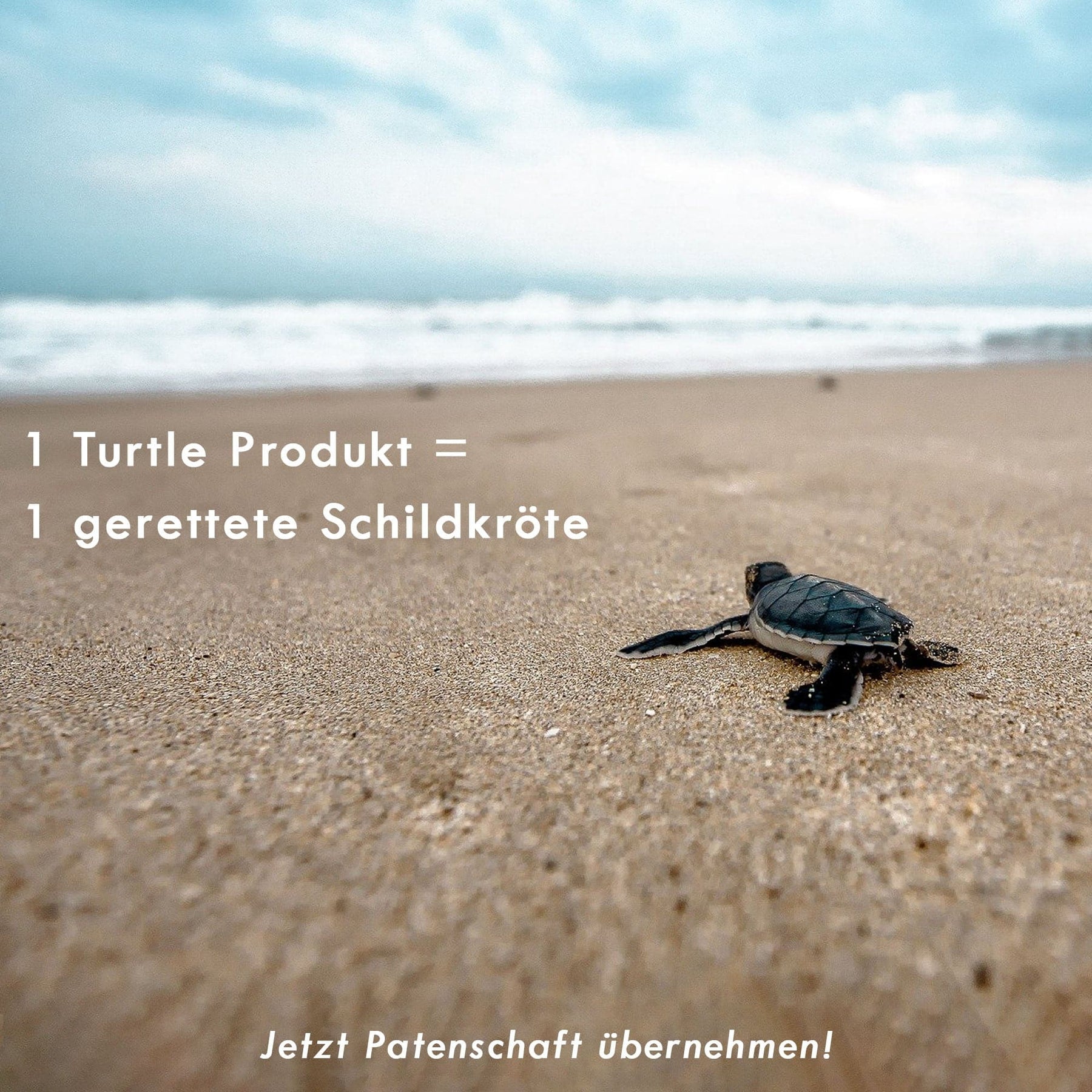 iPhone 17 air Hülle - grün - "TURTLE" - nachhaltig – Ansicht 7