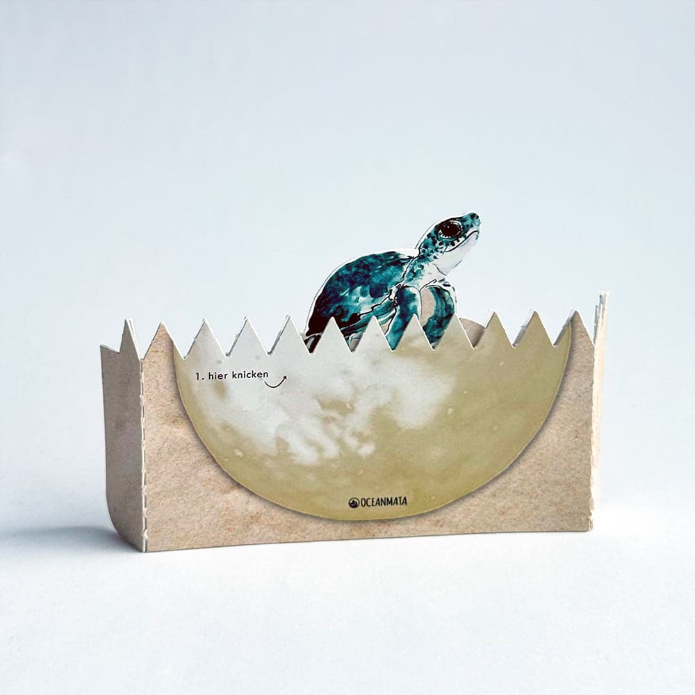 Turtle "Knackei" Patenschaften