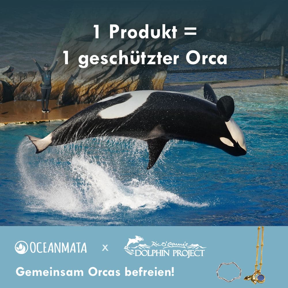 Ring "ORCA" – Ansicht 5