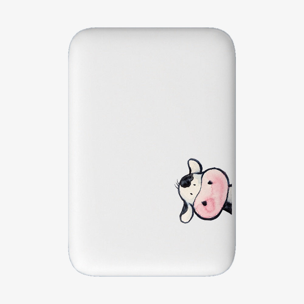 Powerbank MagSafe muh