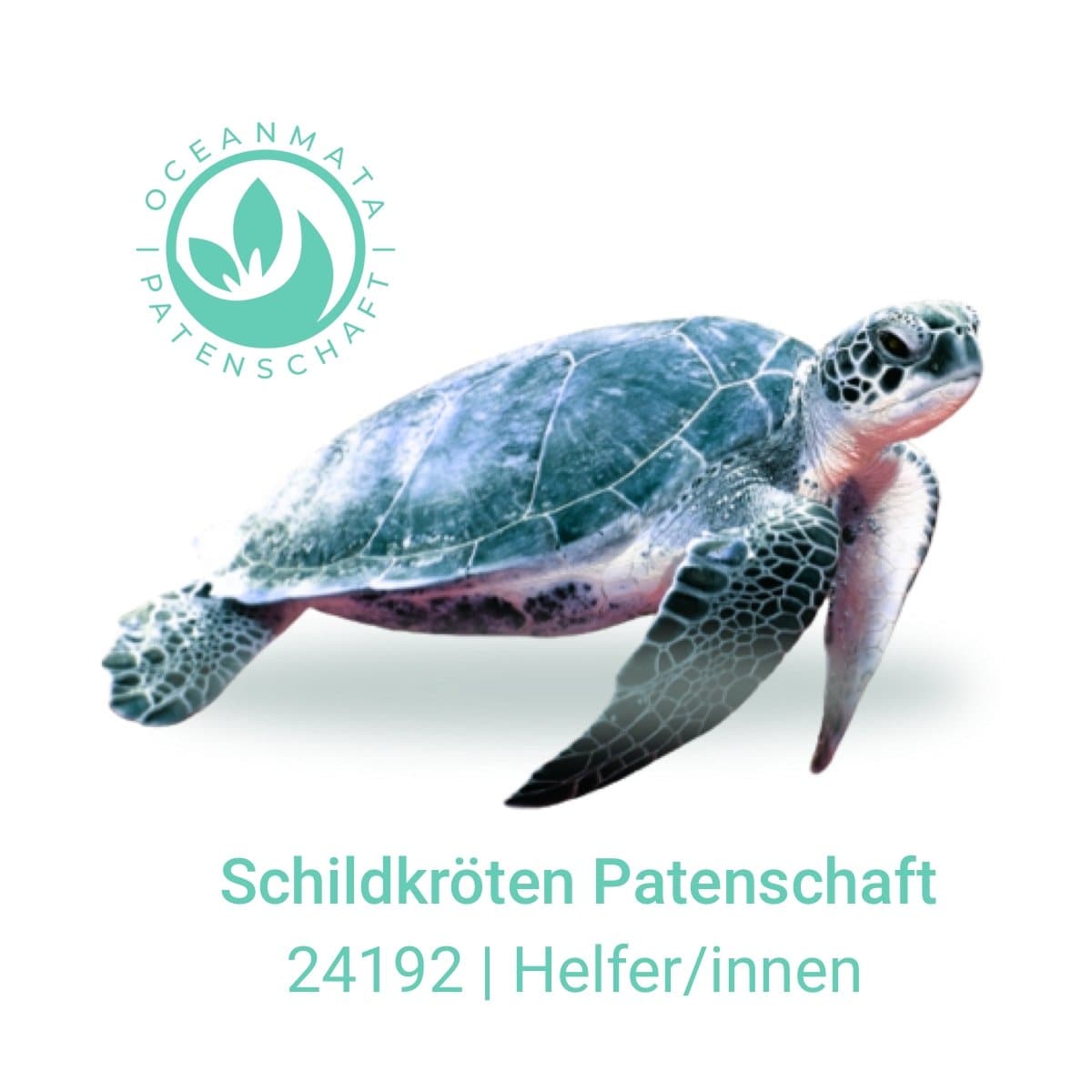 🐢-Patenschaften von Oceanmata®