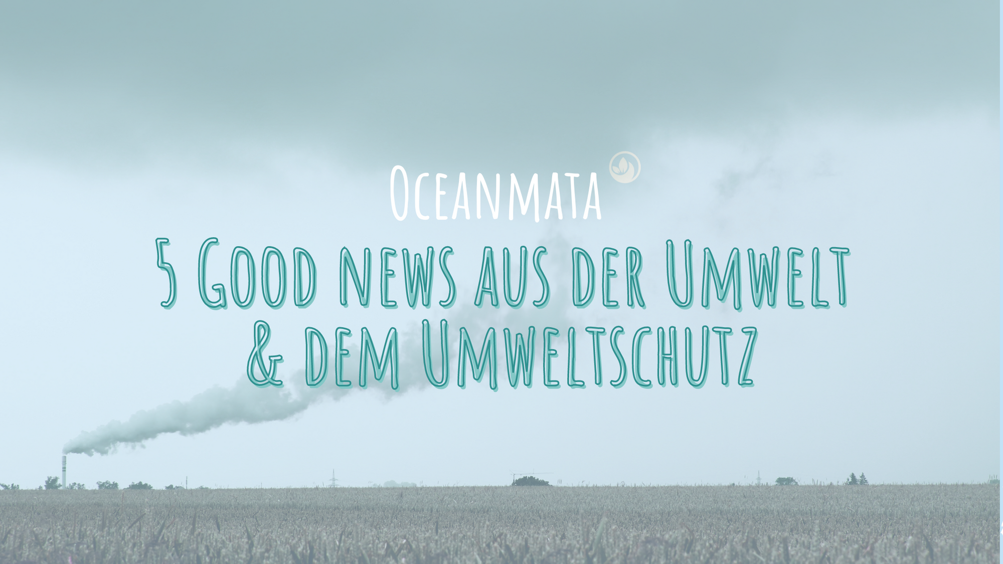 5 Good news aus der Umwelt & dem Umweltschutz