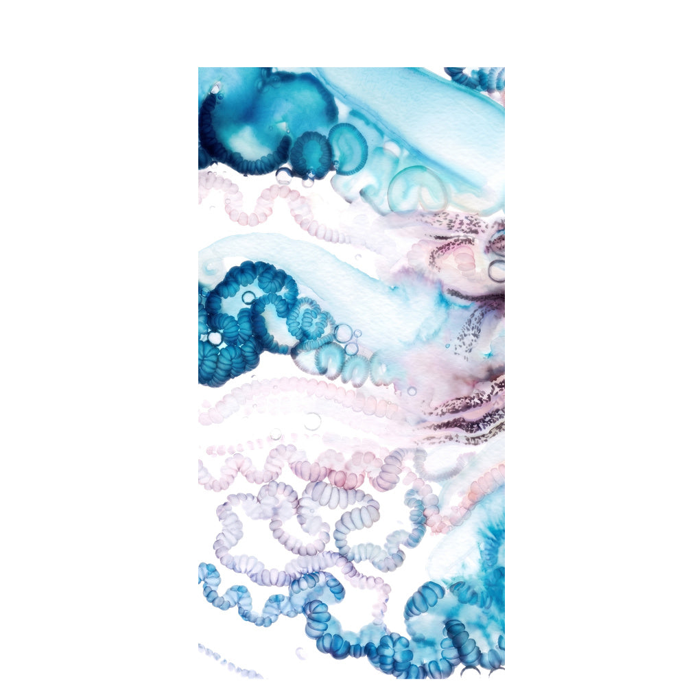 Samsung S26 Ultra Hülle - Qualle blau - "Men o' War" - nachhaltig
