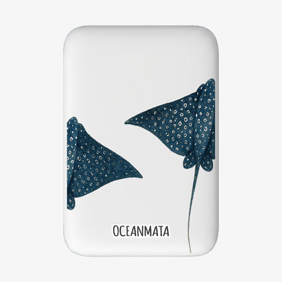 MagSafe Power Bank - "RayDance" - sustainable