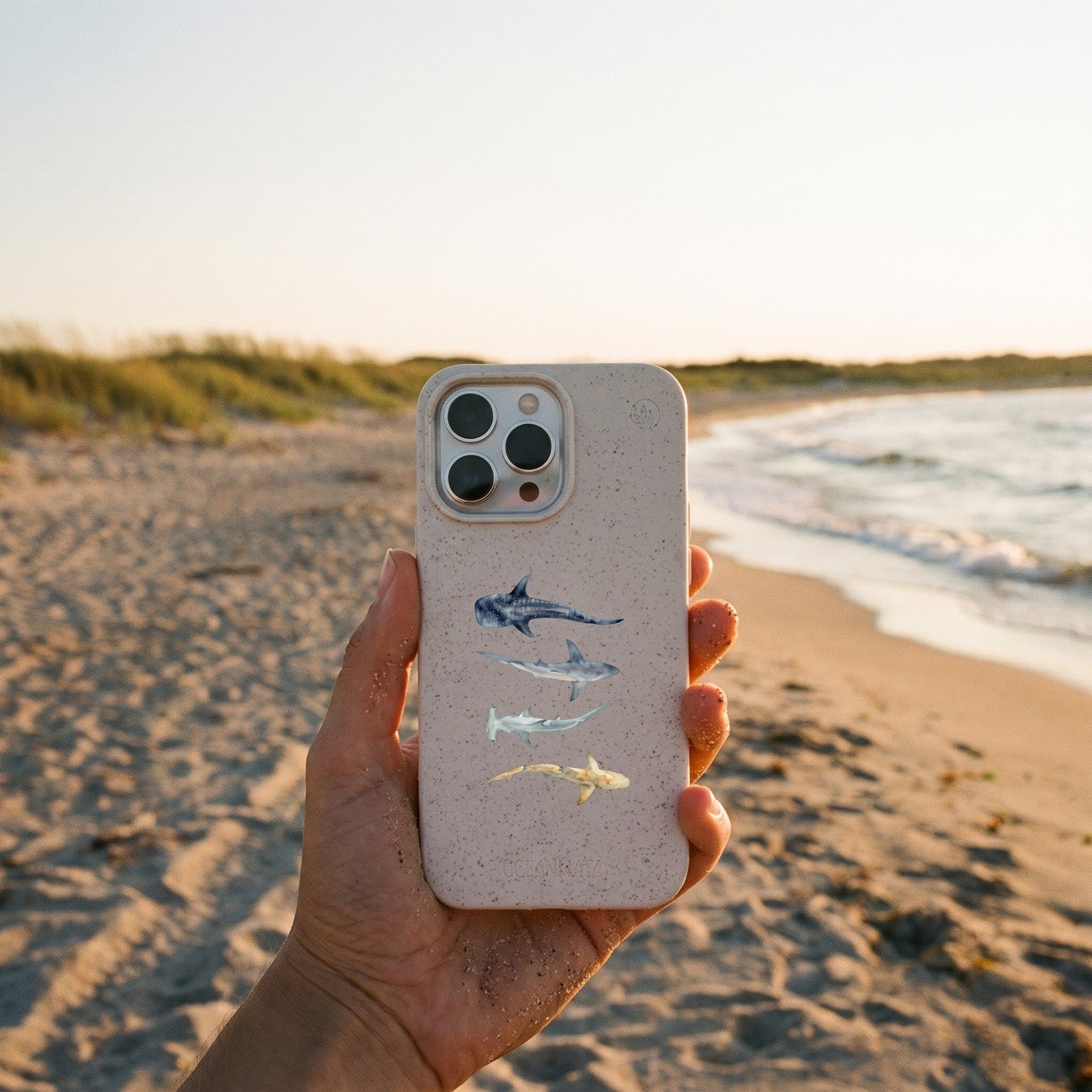 Biologisch abbaubare Handyhülle iPhone 17 pro Sharkproject — kompostierbar — in der Hand