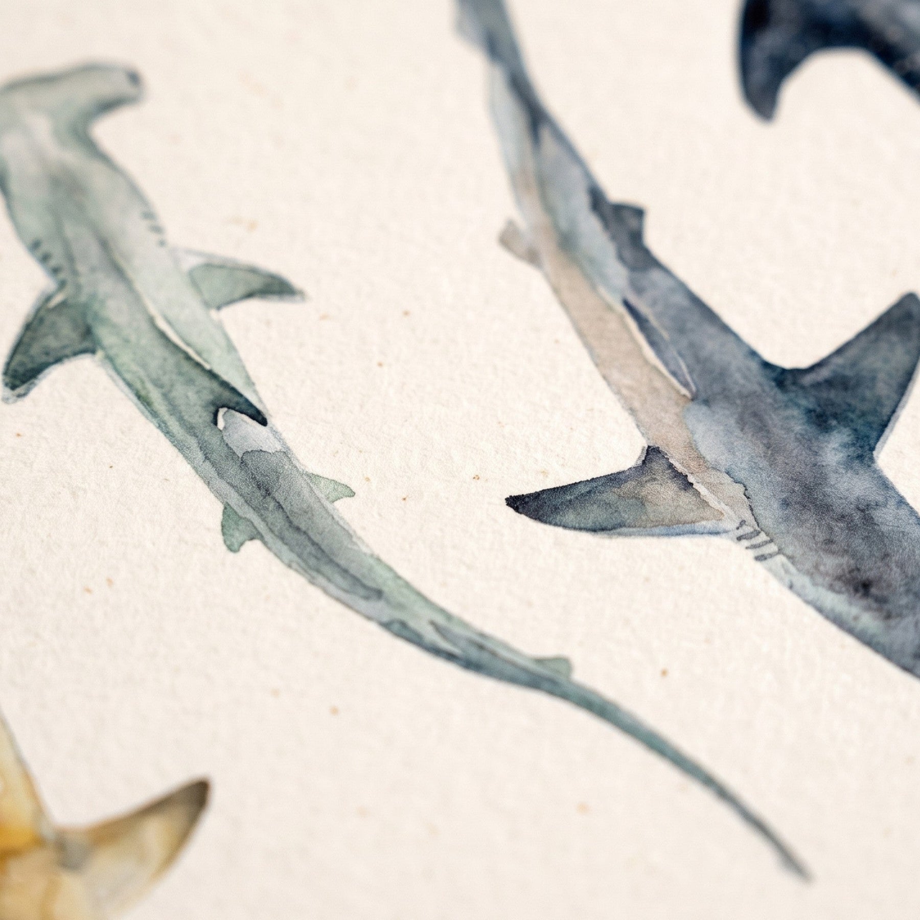 Biologisch abbaubare Handyhülle iPhone 12 pro / iPhone 12 Sharkproject — kompostierbar — Detailaufnahme Druck